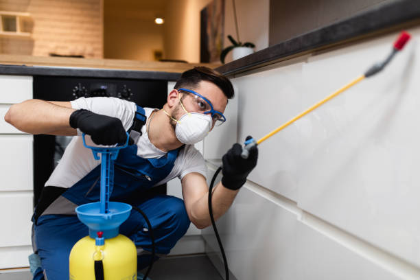 Best Cockroach Control Services  in Inverness Highlands North, FL