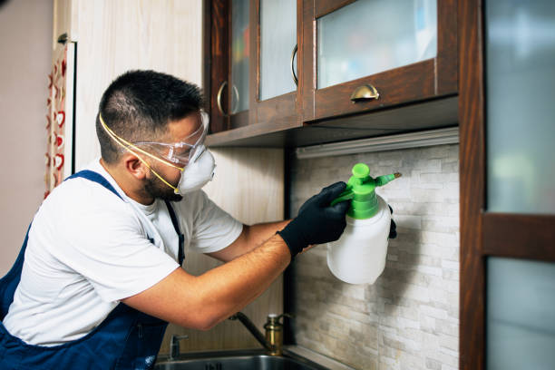Best Rat Extermination Near Me  in Inverness Highlands North, FL