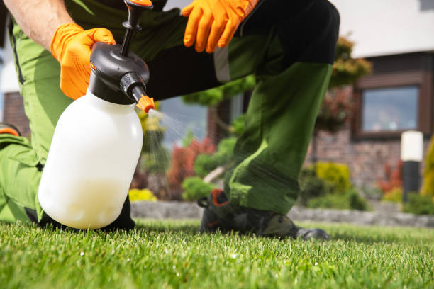Best Ant Control Services  in Inverness Highlands North, FL