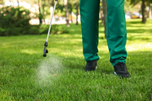 Trusted Inverness Highlands North, FL Pest Control Experts