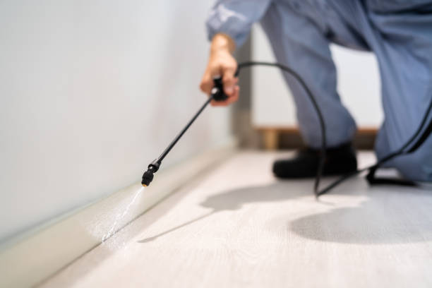 Best Pest Prevention Services  in Inverness Highlands North, FL