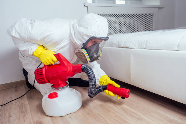 Best Mosquito Control Services  in Inverness Highlands North, FL