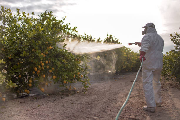 Best Affordable Pest Control Services  in Inverness Highlands North, FL