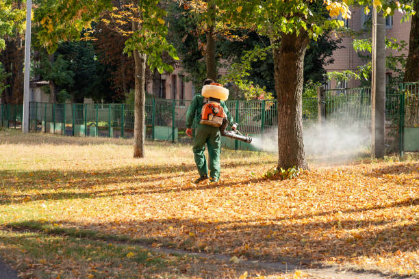 Flea Control Services in Inverness Highlands North, FL
