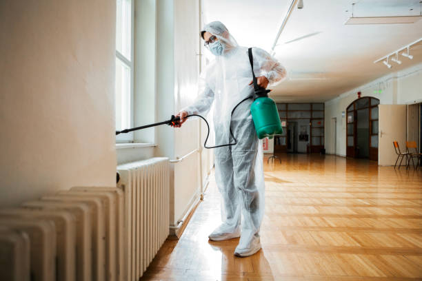 Best Insect Control  in Inverness Highlands North, FL